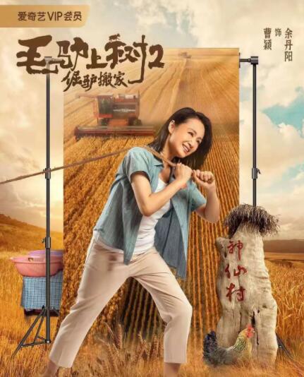 广东毛片