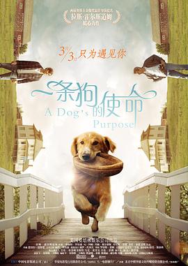 国产精品嫩草影院一区二区
