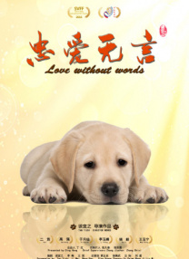 怎么查看usb是2.0还是3.0
